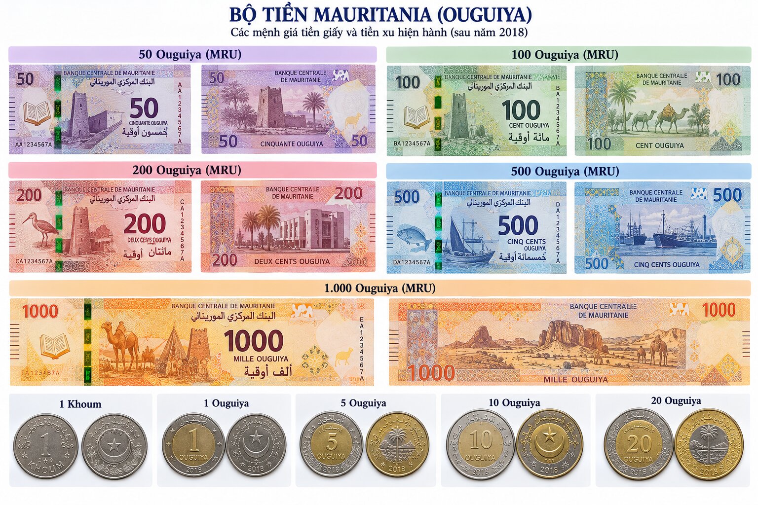 Bộ tiền Ouguiya Mauritania với các tờ 50, 100, 200, 500, 1.000 MRU và tiền xu Khoum, Ouguiya được sắp xếp trên nền trắng