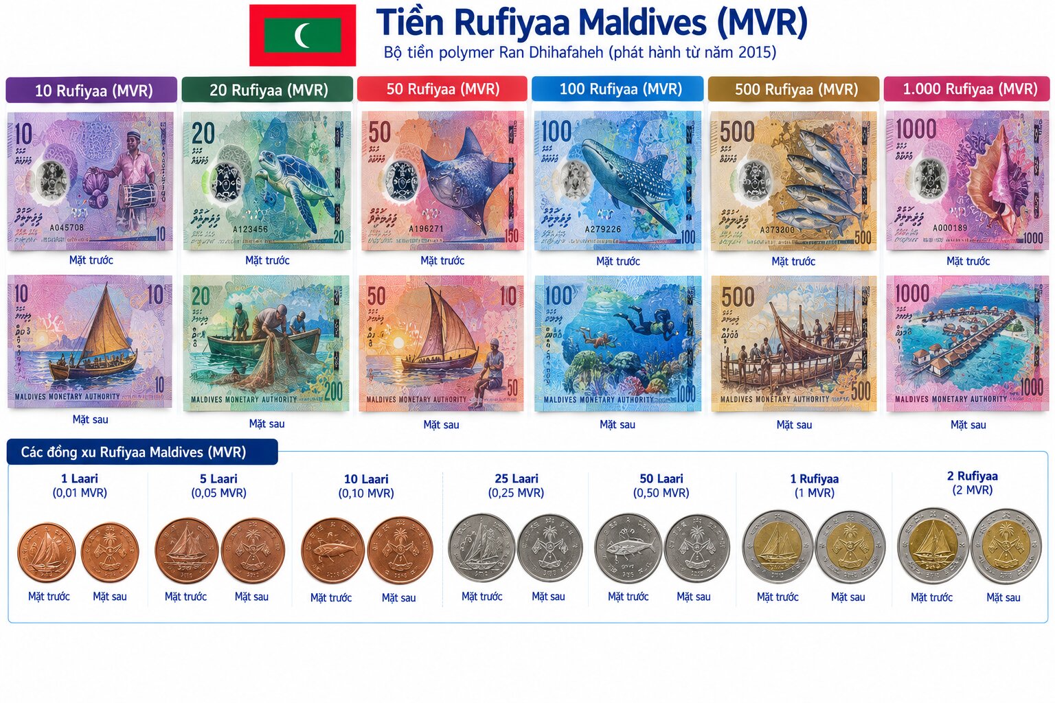 Các mệnh giá tiền Rufiyaa Maldives MVR từ 10 đến 1000 Rufiyaa cùng tiền xu laari, thể hiện thiết kế và văn hóa biển đảo