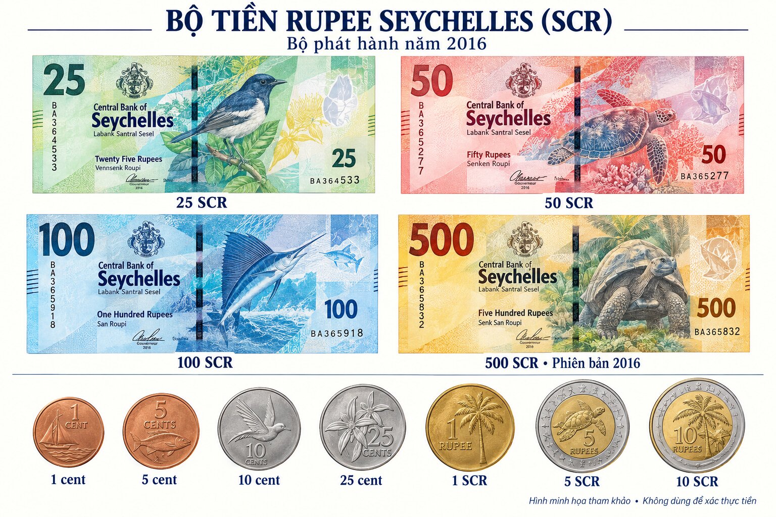 Bộ tiền Rupee Seychelles với các tờ 25, 50, 100, 500 SCR và tiền xu được sắp xếp rõ ràng theo từng mệnh giá