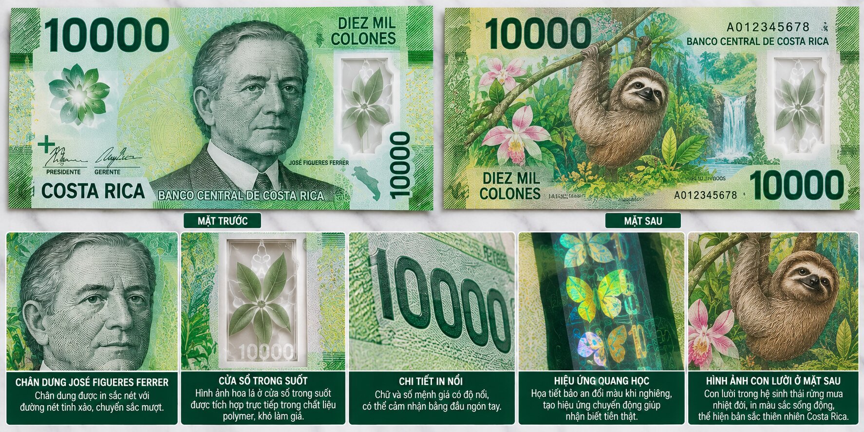Cận cảnh tờ 10.000 Colón Costa Rica polymer với chân dung José Figueres Ferrer, cửa sổ trong suốt và họa tiết bảo an