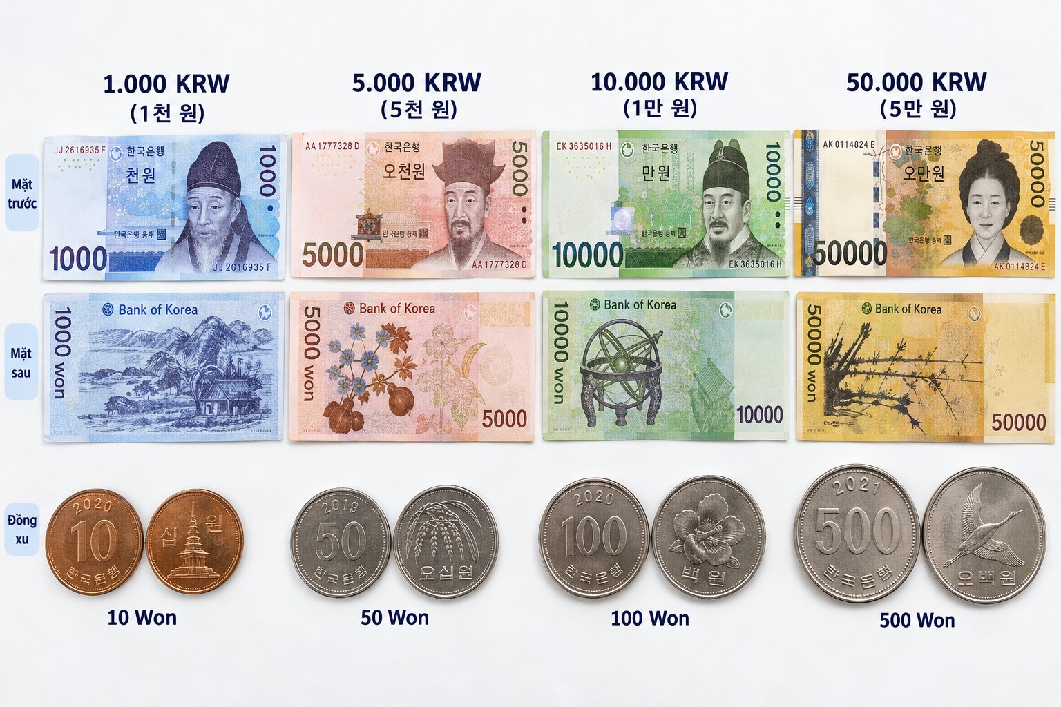 Các mệnh giá tiền Won Hàn Quốc gồm tiền giấy 1.000, 5.000, 10.000, 50.000 KRW và tiền xu với hình ảnh văn hóa đặc trưng