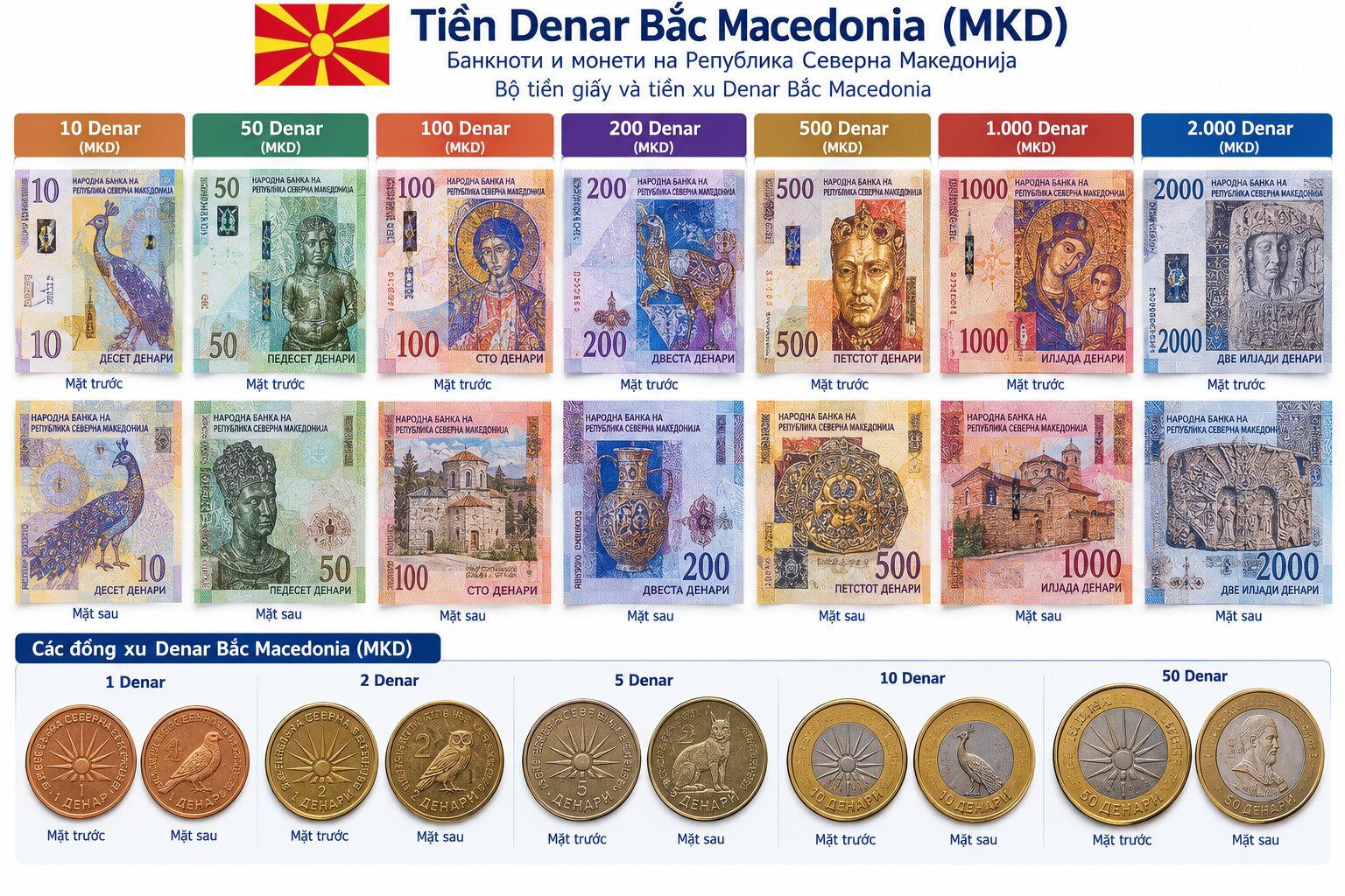 Các mệnh giá tiền Denar Bắc Macedonia MKD từ 10 đến 2000 Denar cùng tiền xu, thể hiện thiết kế và biểu tượng văn hóa Balkan