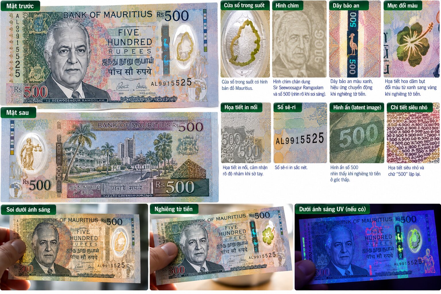 Cận cảnh tiền 500 Rupee Mauritius polymer với cửa sổ trong suốt, số sê-ri và các chi tiết bảo an giúp nhận biết tiền thật