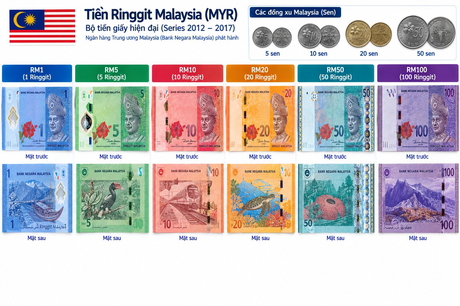 Các mệnh giá tiền Ringgit Malaysia MYR từ RM1 đến RM100 cùng tiền xu 5 đến 50 sen, thể hiện thiết kế và biểu tượng quốc gia