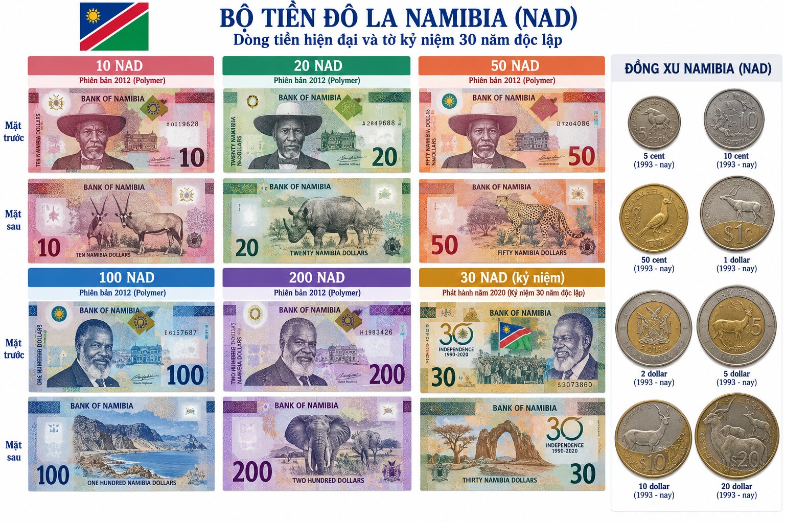 Các mệnh giá tiền Đô la Namibia từ 10 đến 200 NAD cùng tờ 30 NAD kỷ niệm và tiền xu mang biểu tượng quốc gia