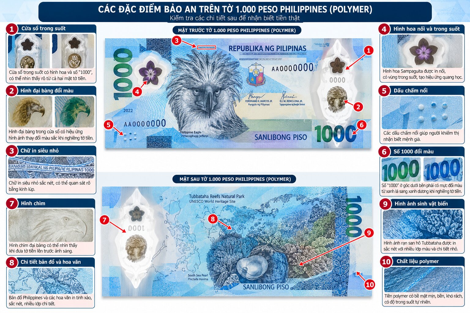 Cận cảnh tiền polymer 1.000 Peso Philippines với hình đại bàng, cửa sổ trong suốt, hoa văn và các chi tiết bảo an chống giả