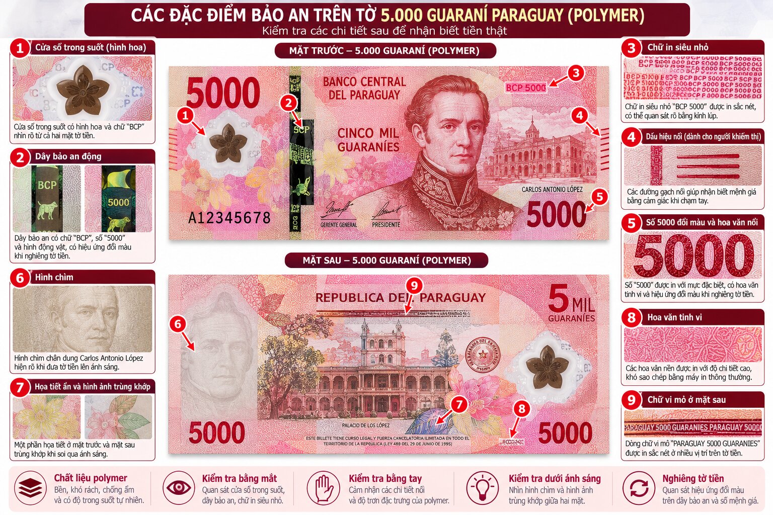 Infographic hướng dẫn nhận biết tiền Guaraní Paraguay thật qua các đặc điểm bảo an, chất liệu polymer hoặc giấy cotton và hoa văn