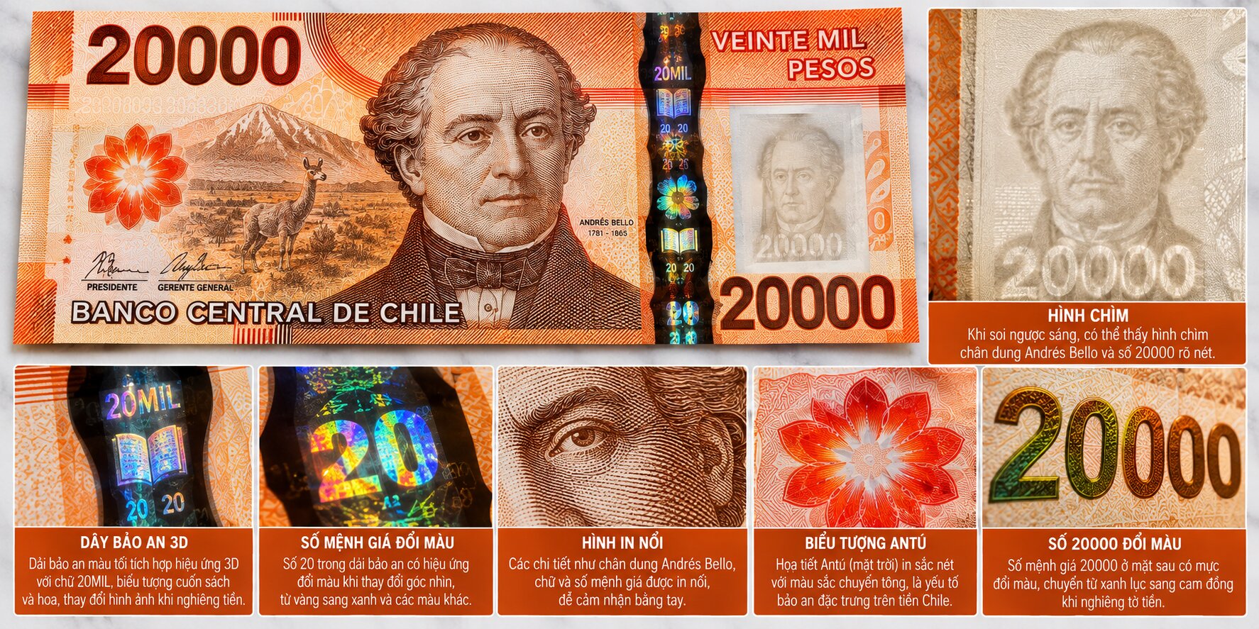 Cận cảnh tờ 20.000 Peso Chile với chân dung Andrés Bello, hình chìm, dây bảo an 3D và họa tiết đổi màu chống làm giả