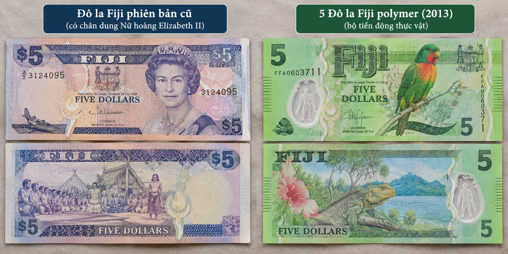 So sánh tiền Đô la Fiji phiên bản cũ có chân dung Nữ hoàng Elizabeth II với tiền polymer năm 2013 mang hình động vật bản địa