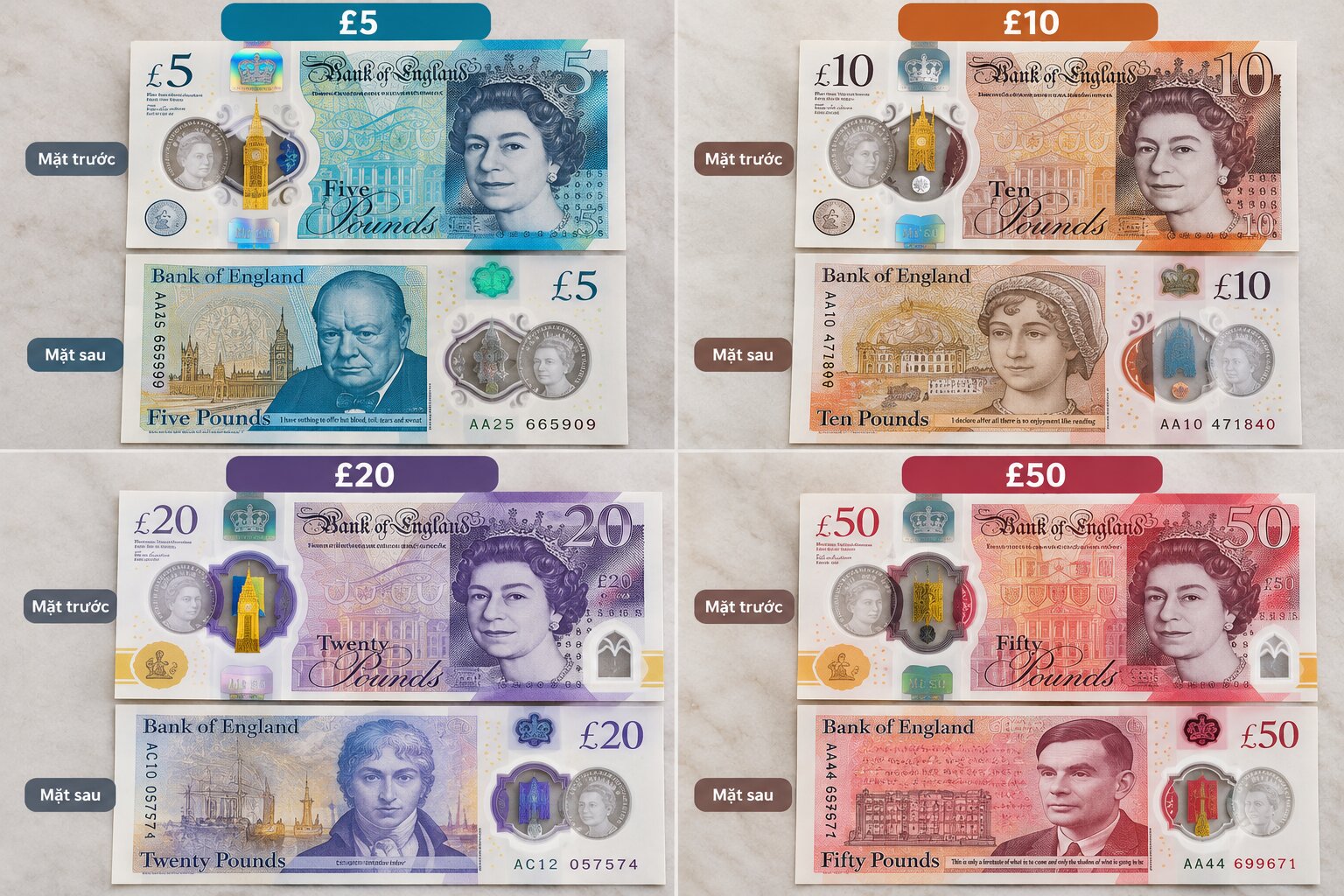 Các tờ tiền Bảng Anh GBP mệnh giá 5, 10, 20 và 50 bảng với chân dung hoàng gia cùng Winston Churchill, Jane Austen, Turner và Alan Turing