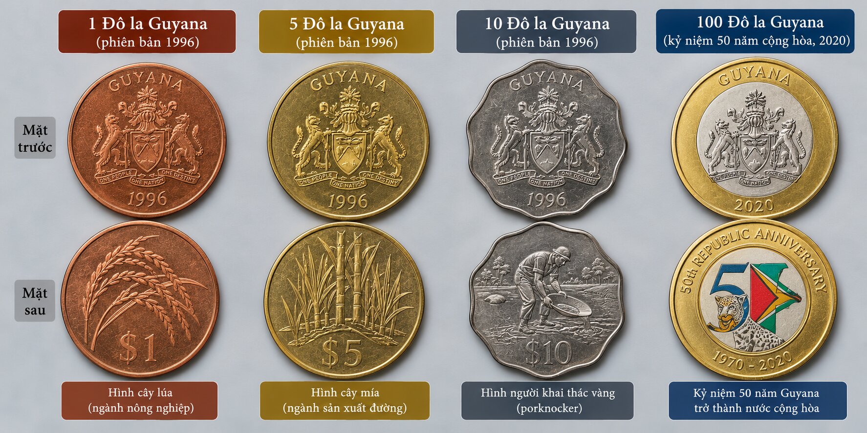 Bộ tiền xu Guyana gồm 1, 5, 10 và 100 Đô la với hình cây lúa, cây mía, người khai thác vàng và biểu tượng kỷ niệm
