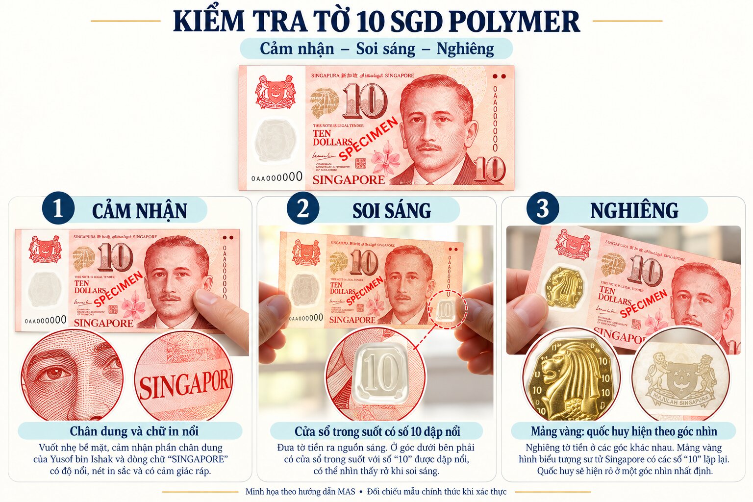 Infographic kiểm tra tờ 10 SGD polymer qua cửa sổ trong suốt, chi tiết in nổi và các yếu tố bảo an đúng phiên bản