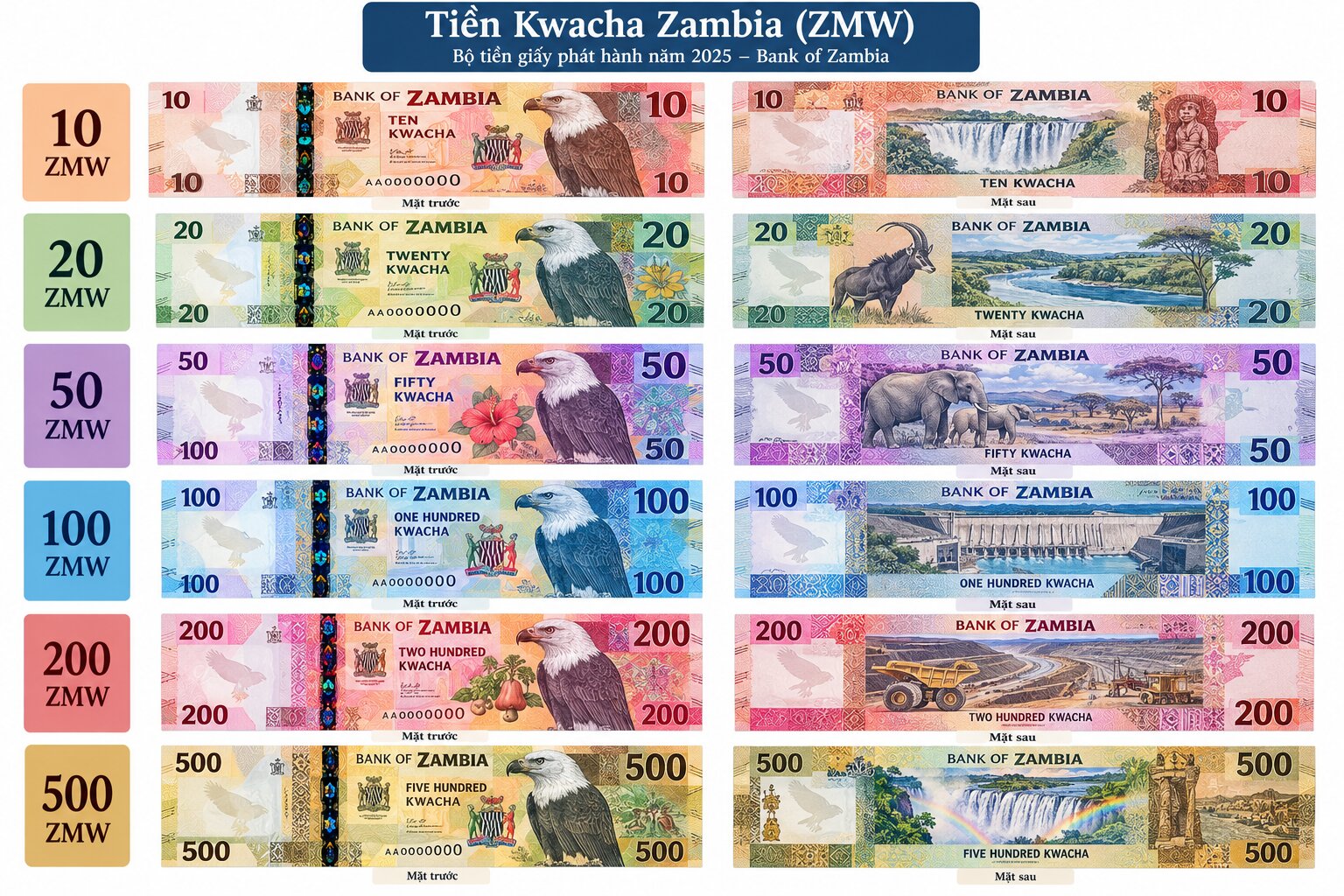 Bộ tiền giấy Kwacha Zambia năm 2025 gồm các mệnh giá 10, 20, 50, 100, 200 và 500 ZMW với hình đại bàng và họa tiết quốc gia