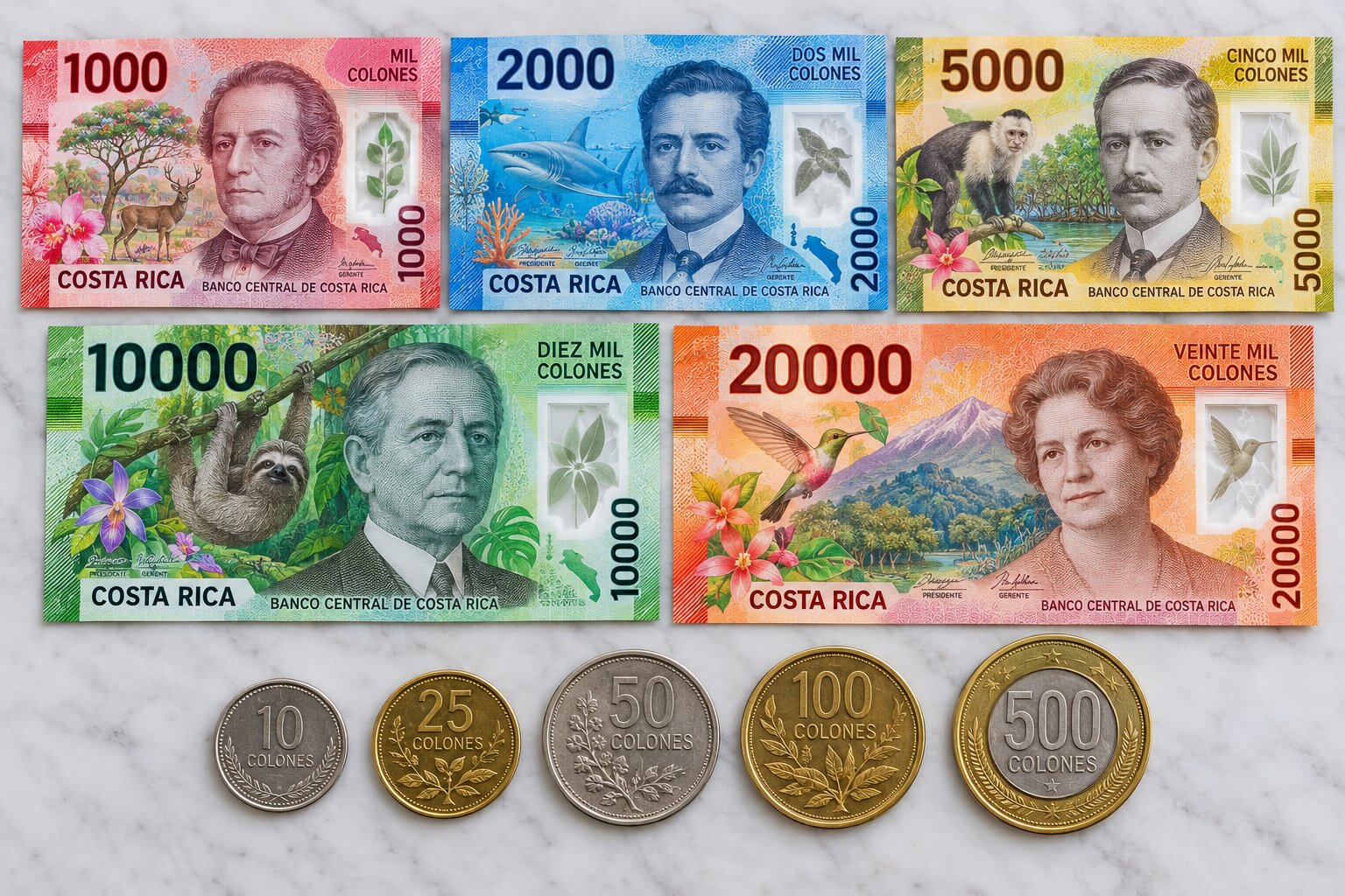 Bộ tiền Colón Costa Rica gồm các tờ polymer 1.000, 2.000, 5.000, 10.000, 20.000 CRC và tiền xu 10 đến 500 Colón