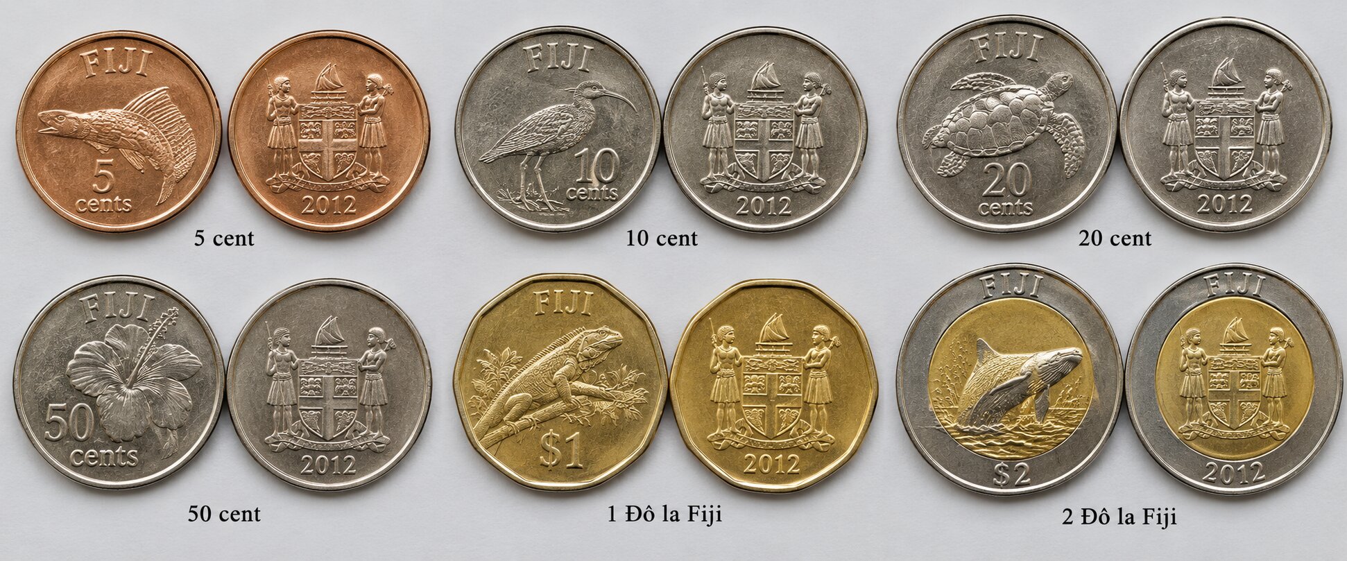 Bộ tiền xu Đô la Fiji gồm sáu mệnh giá từ 5 cent đến 2 đô la với thiết kế động thực vật bản địa đặc trưng