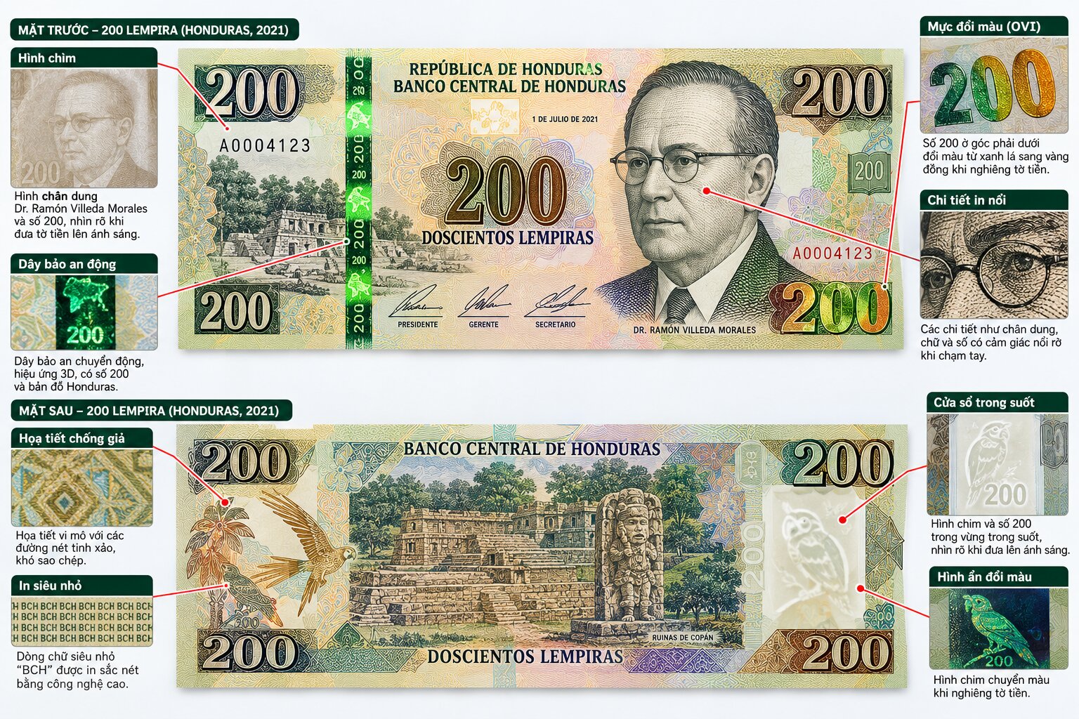 Cận cảnh tờ tiền 200 Lempira Honduras với dây bảo an, hình chìm, mực đổi màu và các chi tiết in nổi chống làm giả